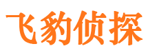 柳城市调查公司